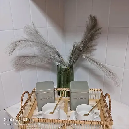 Апартаменты New Modern Flat Pyrgos Centre Olympia Пиргос